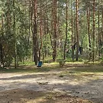 Wilga - Klimatyczny Z 2 Tarasami Ostrybor