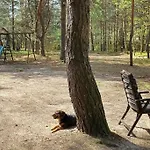 Vakantiehuis Wilga - Klimatyczny Z 2 Tarasami Ostrybor