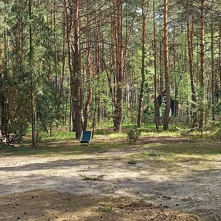 Wilga - Klimatyczny Z 2 Tarasami Ostrybor