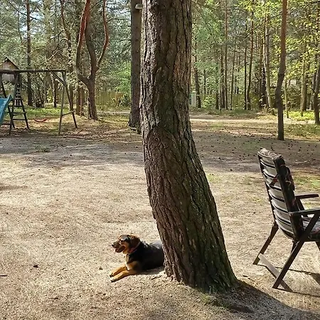 Casa de Férias Wilga - Klimatyczny Z 2 Tarasami Ostrybor