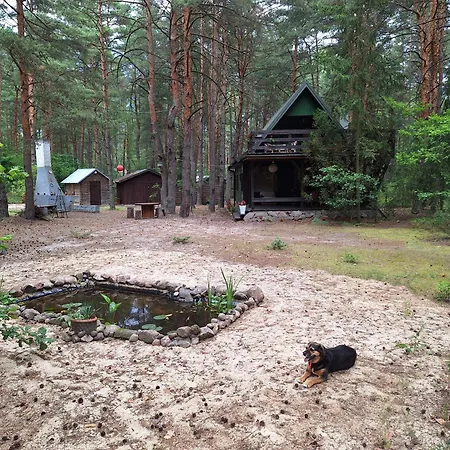 Wilga - Klimatyczny Z 2 Tarasami Casa de Férias Ostrybor