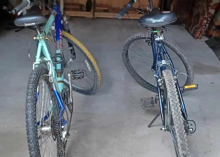 Wilga - Klimatyczny Z 2 Tarasami * Ostrybor