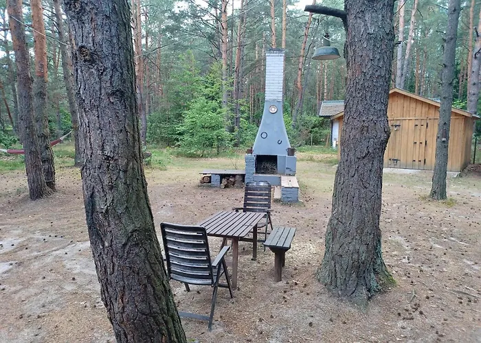 Wilga - Klimatyczny Z 2 Tarasami Ostrybor