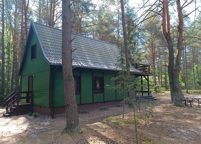 Wilga - Klimatyczny Z 2 Tarasami Ostrybor