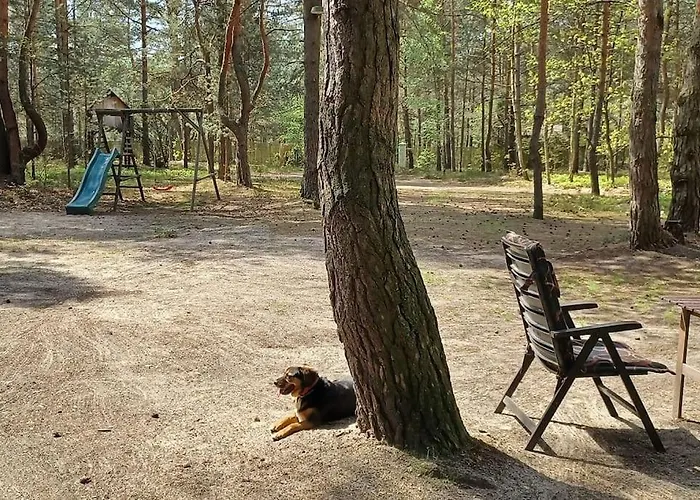 בית נופש Wilga - Klimatyczny Z 2 Tarasami Ostrybor