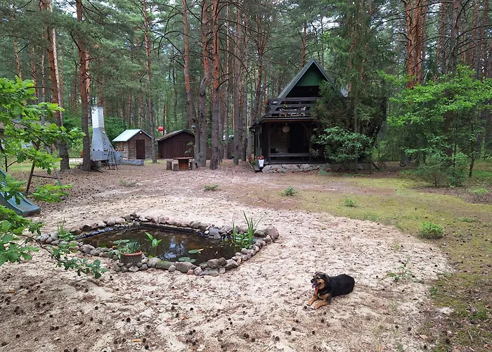 Wilga - Klimatyczny Z 2 Tarasami בית נופש Ostrybor